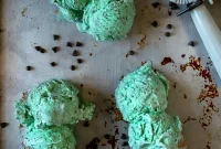 Homemade Mint Chocolate Chip Ice Cream Recipe: Creamy Mint Scoop