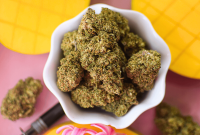 Do Mangoes Boost the Effects of Cannabis Edibles?