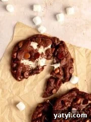 Chocolate cookie broken in half with marshmallow middle