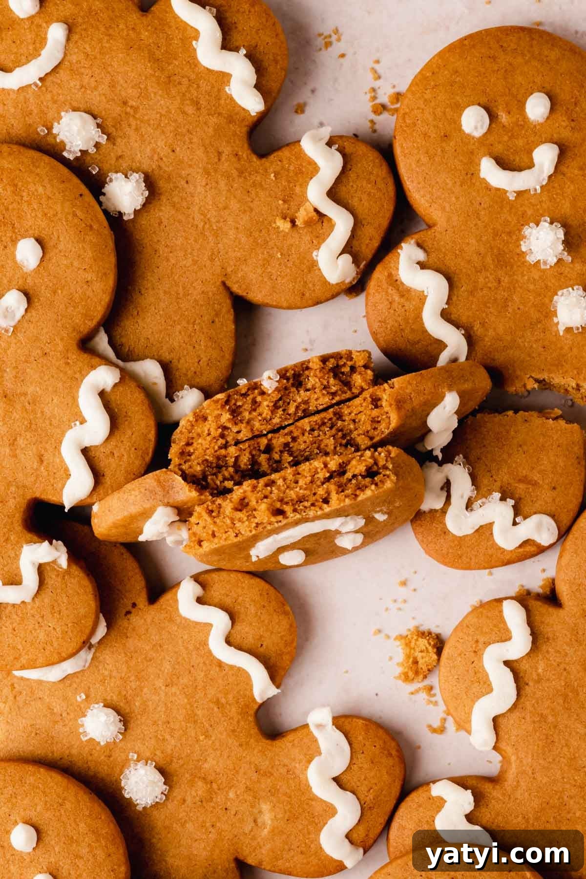 broken gingerbread cookie to show soft cookie texture