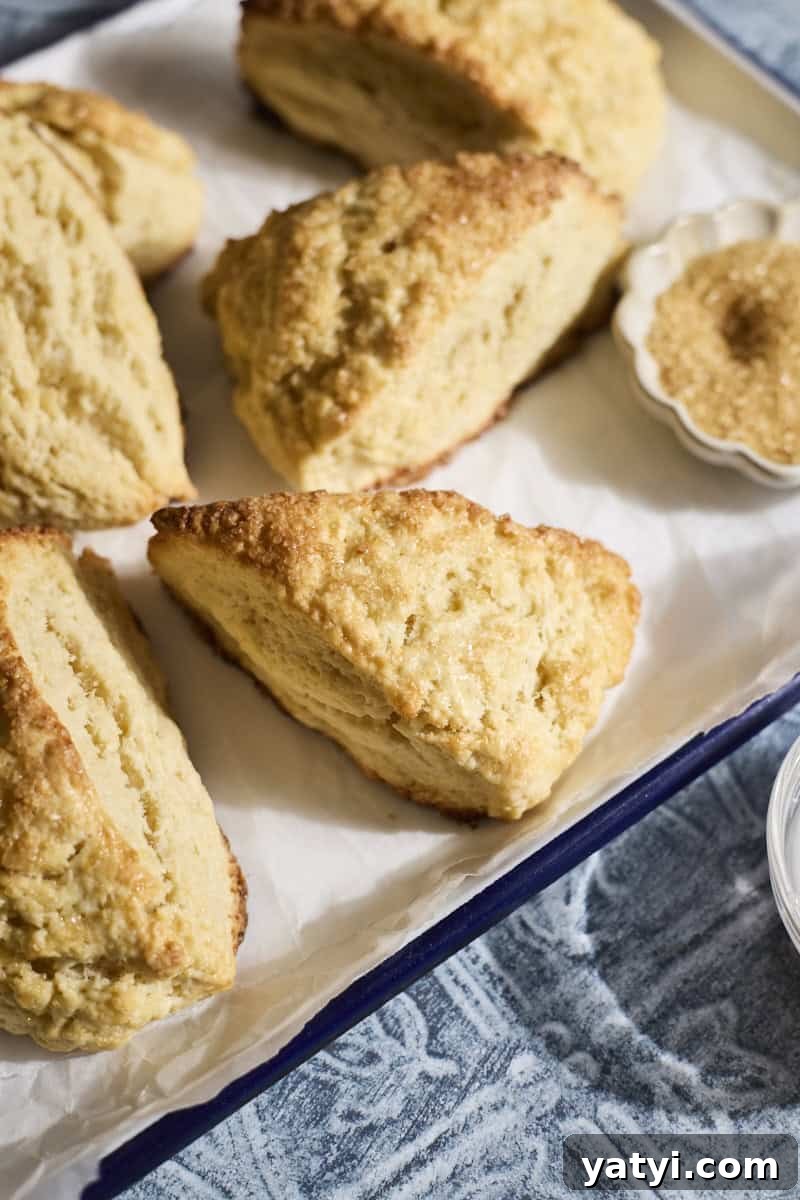 Sourdough Discard Scone Recipe: Flaky Base for Sweet or Savory Add-Ins 11 Baked scones on a white tray.