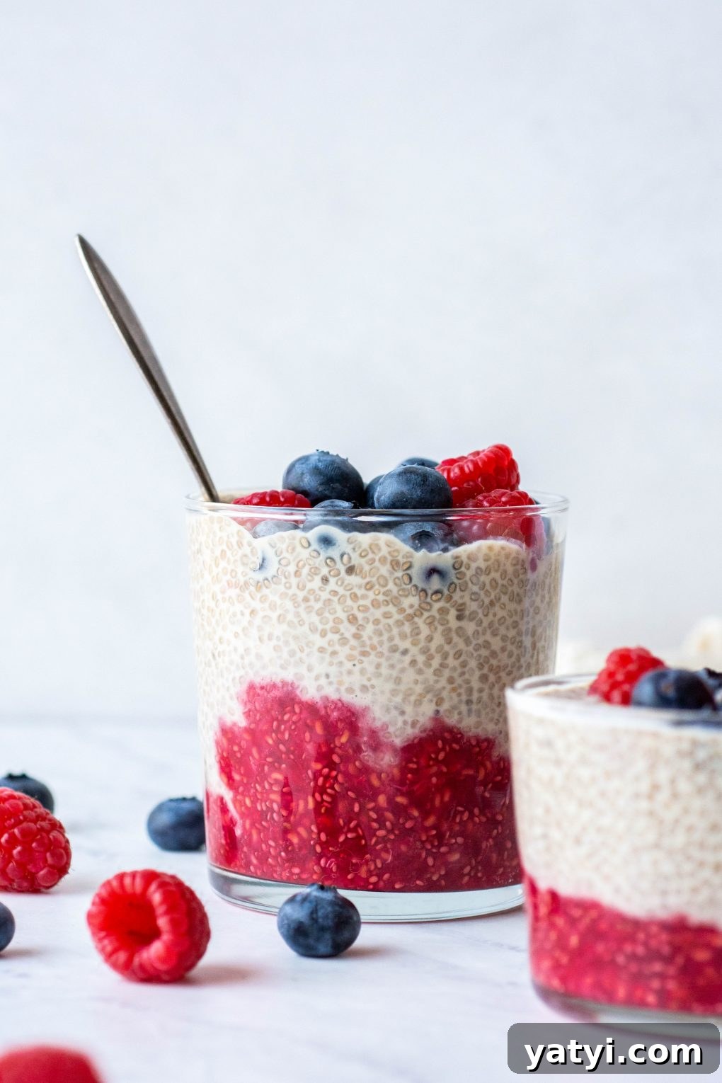 Dairy-Free Raspberry Blueberry Chia Pudding Recipe 2 Side view of a glass cup with layers of chia seed pudding - raspberry, vanilla, and fresh blueberries on top. Surrounded by fresh berries on a white background