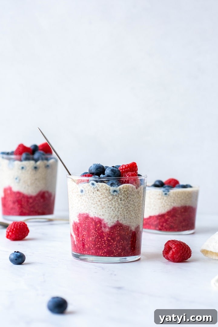Dairy-Free Raspberry Blueberry Chia Pudding Recipe 4 Side view of 3 staggered glass cups with layers of chia seed pudding - raspberry, vanilla, and fresh blueberries on top. Surrounded by fresh berries on a white background