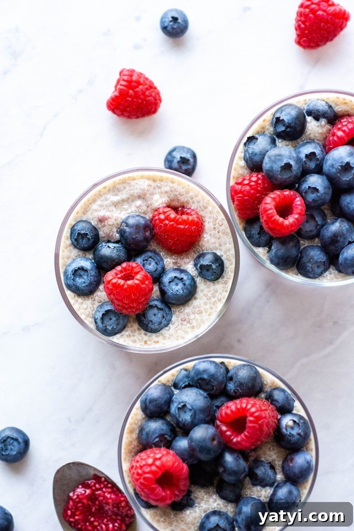 Dairy-Free Raspberry Blueberry Chia Pudding Recipe 5 Overhead shot of three round cups of chia vanilla chia seed pudding topped with fresh raspberries and blueberries. On a white background surrounded by a few scattered berries.