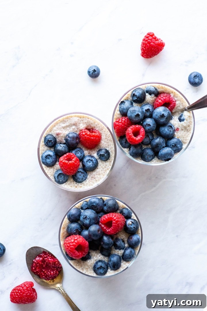 Dairy-Free Raspberry Blueberry Chia Pudding Recipe 7 img 10369 6