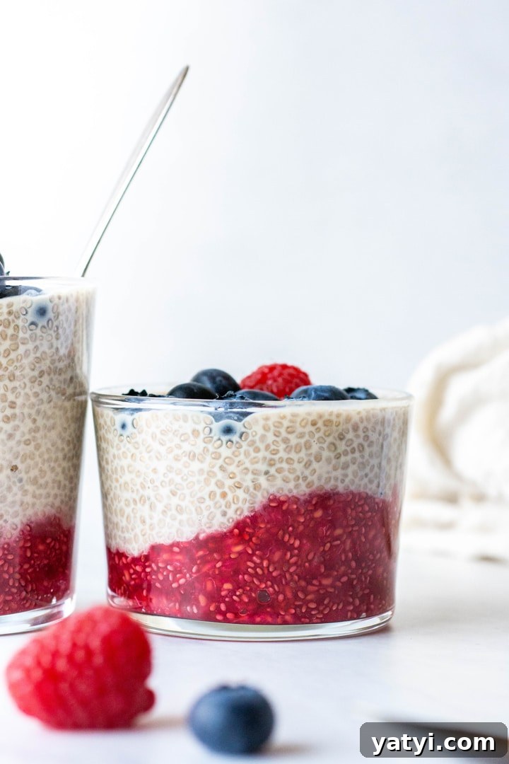 Dairy-Free Raspberry Blueberry Chia Pudding Recipe 8 Close up side view of a small glass cup with layered chia seed pudding topped with blueberries and raspberries on a white background