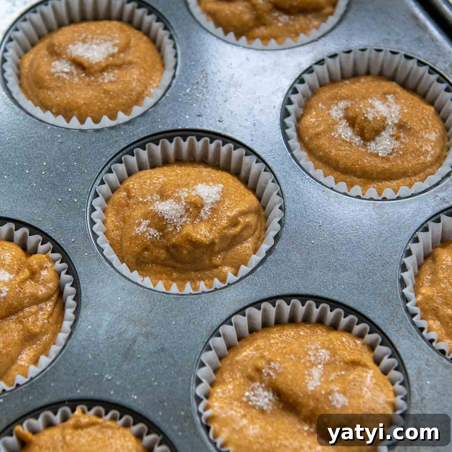 5-Minute Pumpkin Oat Flour Muffins — Light & Airy Bake 6 unbaked pumpkin oat muffins in a muffin pan.