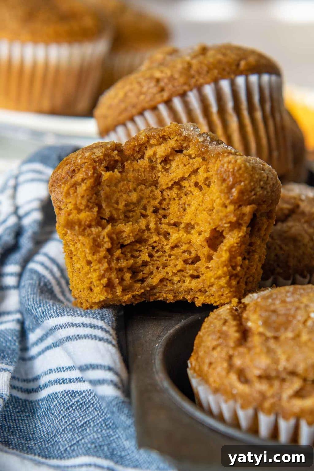 5-Minute Pumpkin Oat Flour Muffins — Light & Airy Bake 7 a muffin with a bite taken out positioned straight on