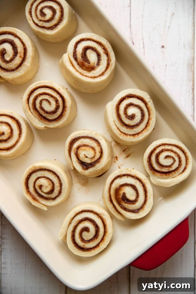 Maple Cream Cheese Cinnamon Rolls Recipe — Soft, Gooey & Irresistible 3 cinnamon rolls in a baking pan