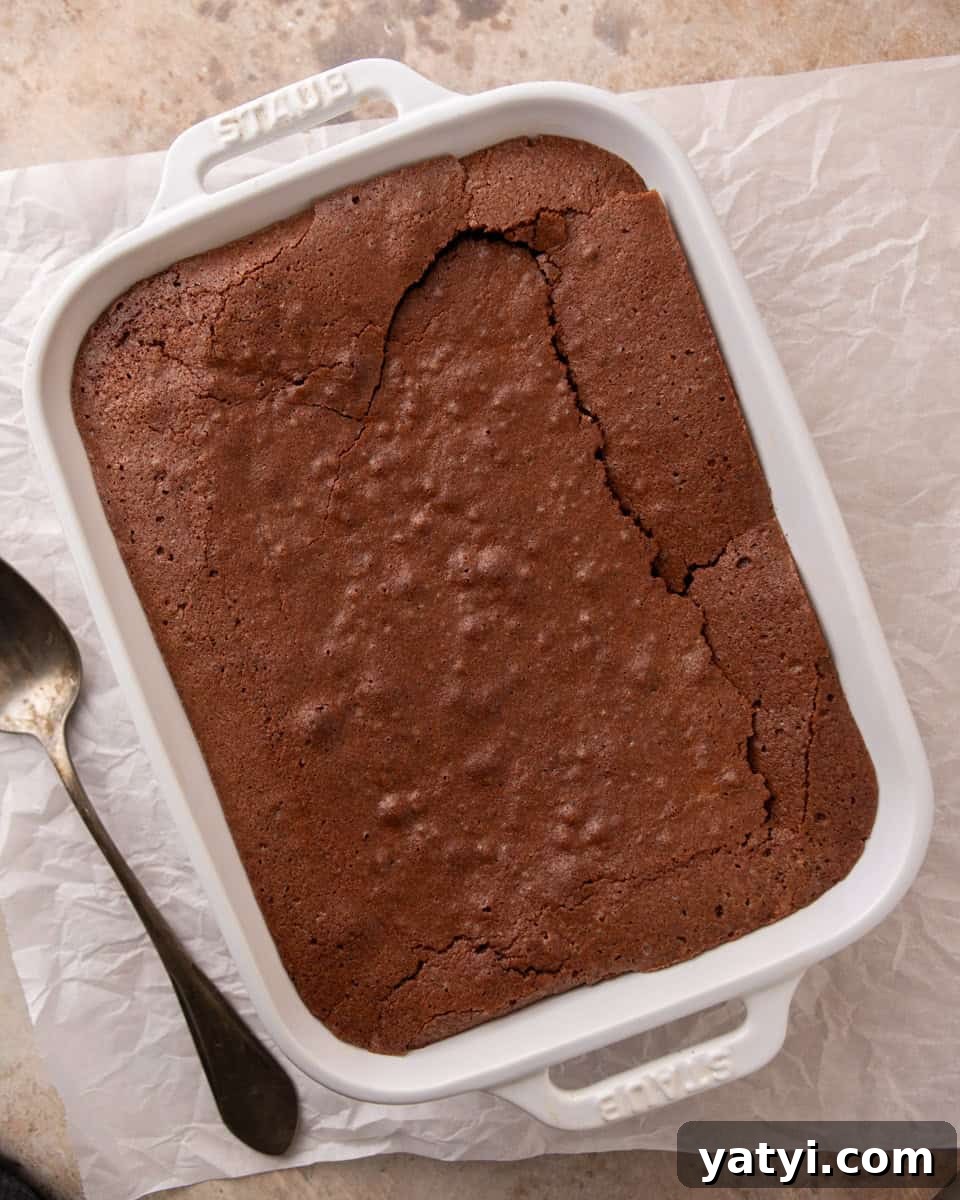 Ina Garten’s Brownie Pudding Recipe That’s Gone Viral 5 Freshly baked brownie pudding with a set top and soft center