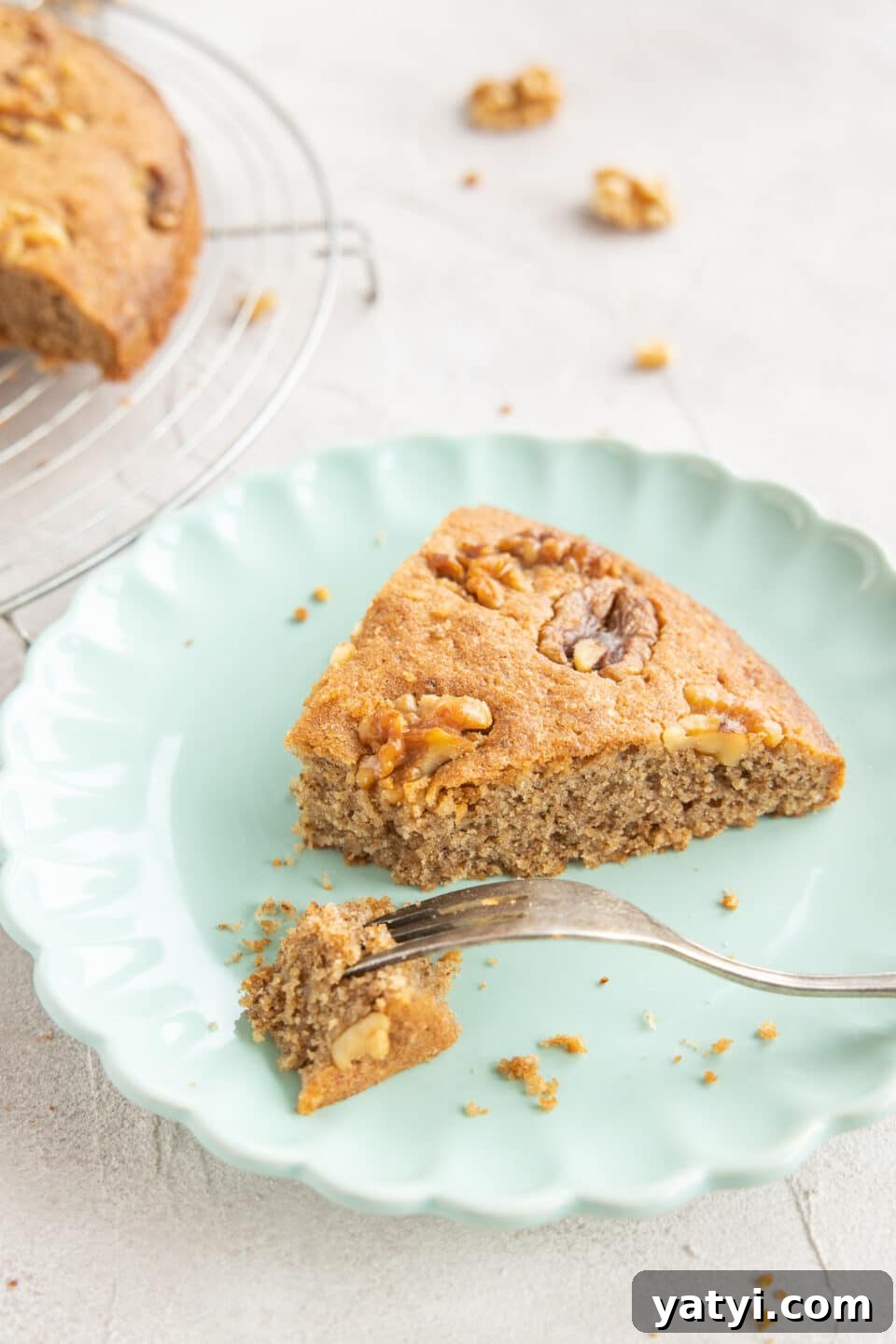 Moist Fluffy Walnut Cake Recipe with Simple Ingredients 3 nut cake with walnuts