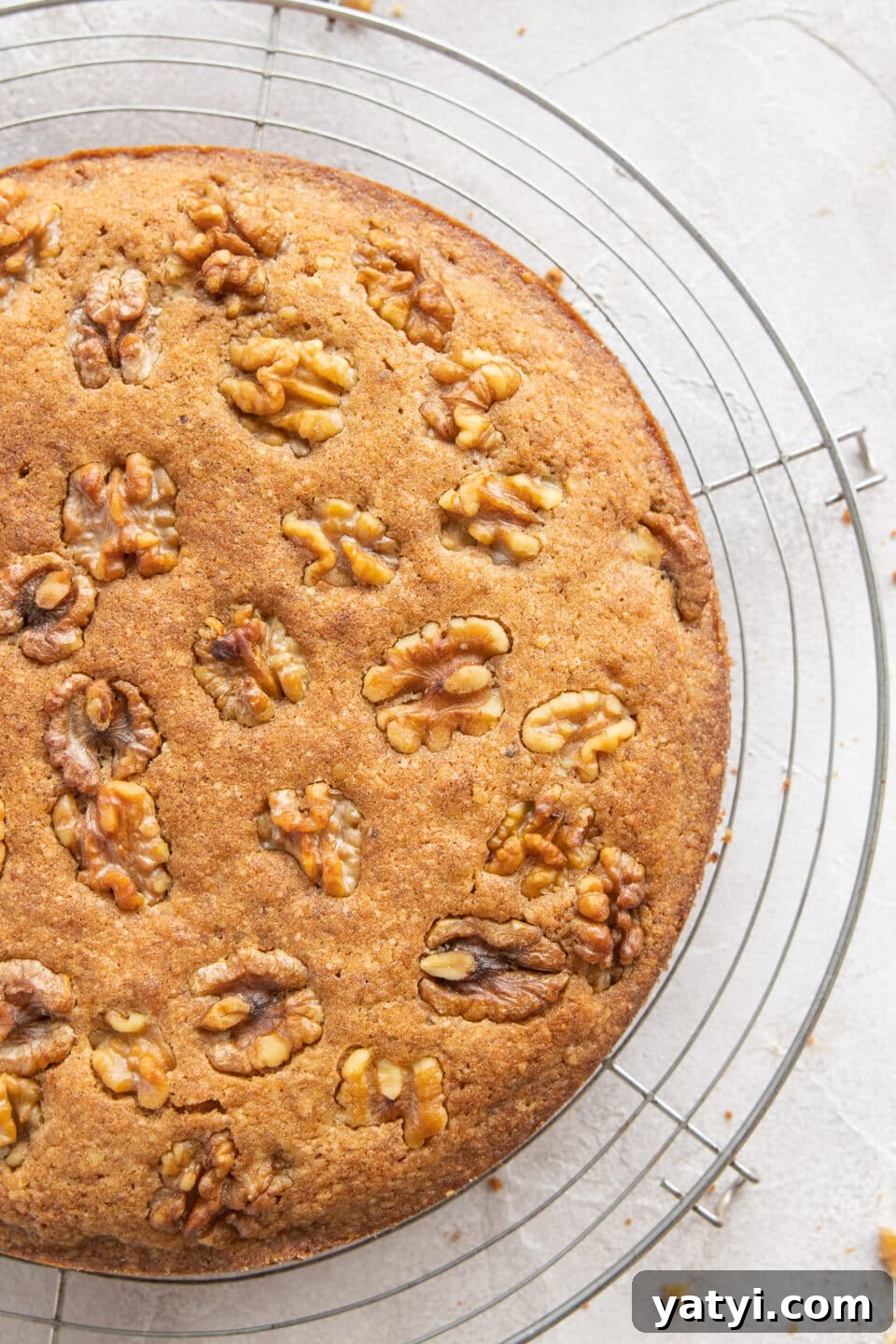 Moist Fluffy Walnut Cake Recipe with Simple Ingredients 5 moist cake recipe
