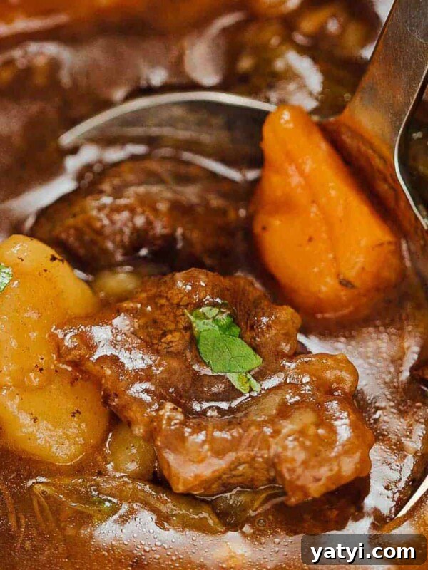 Creamy Garlic Mashed Potatoes in the Instant Pot (Pressure Cooker) 12 Easy Instant Pot Beef Stew