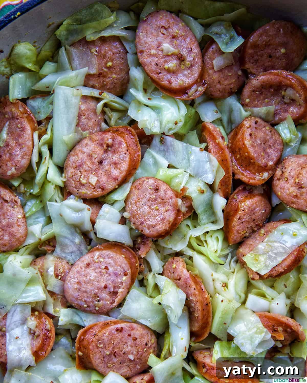 Savory Sausage and Cabbage Skillet Recipe for Weeknight Dinners 2 Sausage and Cabbage skillet.