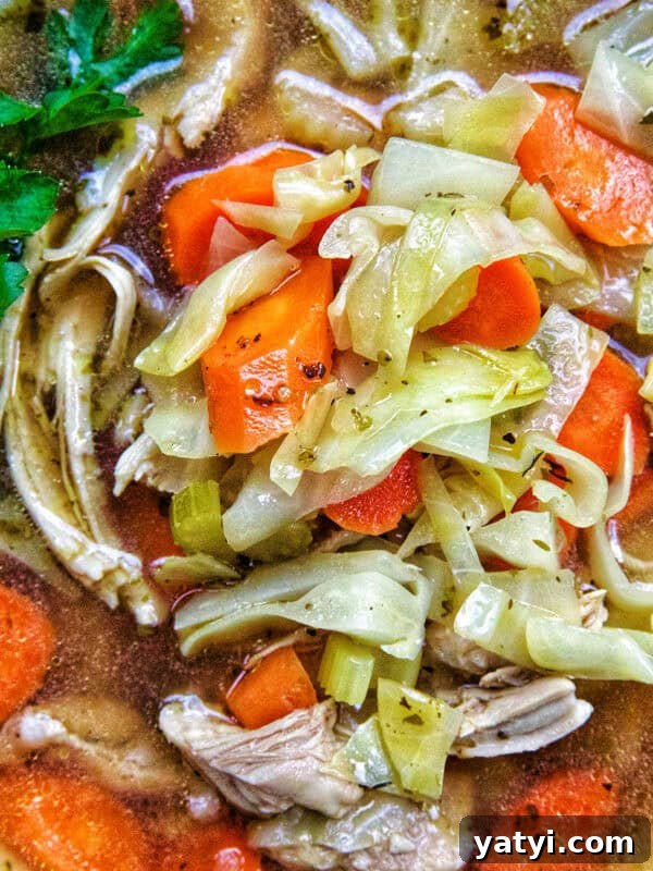Savory Sausage and Cabbage Skillet Recipe for Weeknight Dinners 15 closeup bowl of chicken cabbage soup.