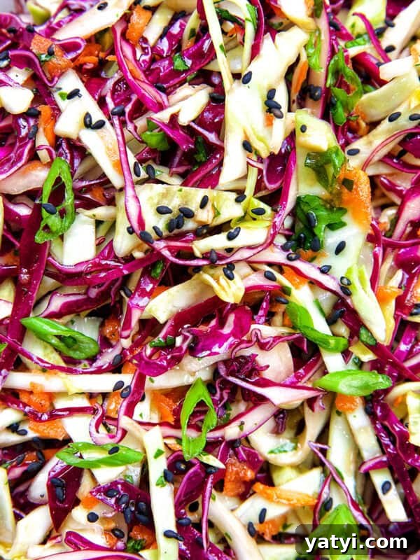 Savory Sausage and Cabbage Skillet Recipe for Weeknight Dinners 17 Asian cabbage coleslaw.