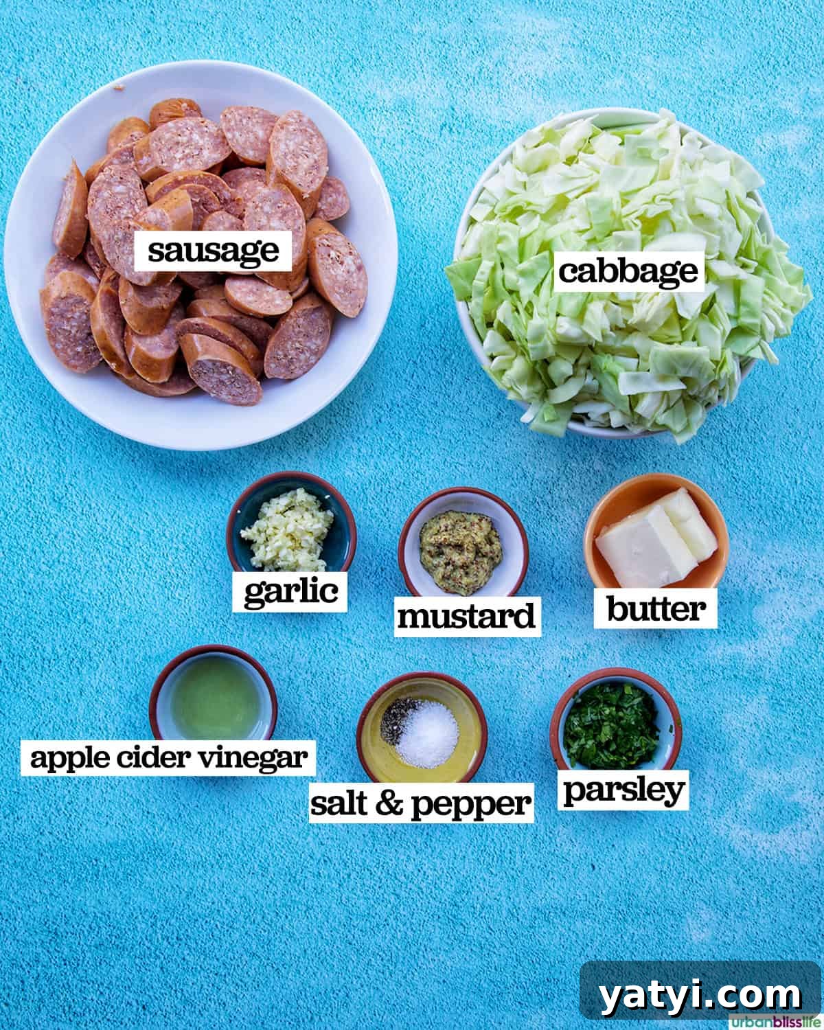 Savory Sausage and Cabbage Skillet Recipe for Weeknight Dinners 5 Ingredients for sausage and cabbage.
