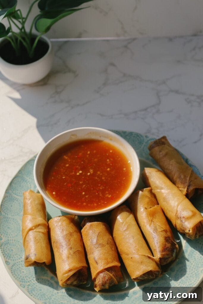 fried spring rolls 3