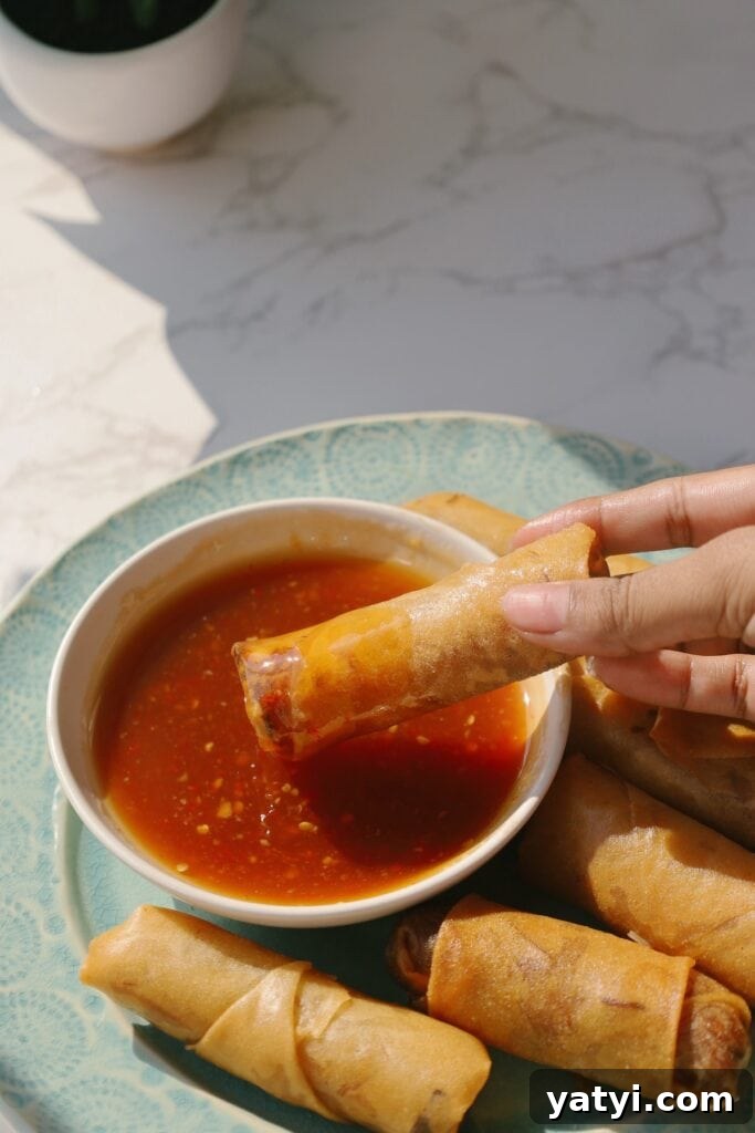 fried spring rolls 1