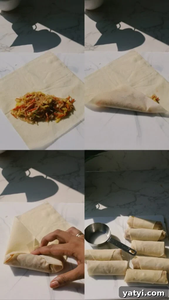 how to roll fried spring rolls