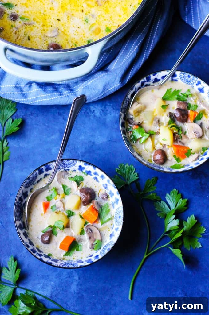 Polish Mushroom Soup with Yukon Gold Potatoes Recipe 3 Overhead shot of mushroom soup in two bowls with a pot in the background