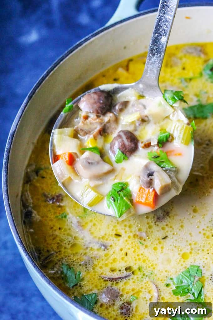 Polish Mushroom Soup with Yukon Gold Potatoes Recipe 6 Polish Mushroom soup in a pot with ladle