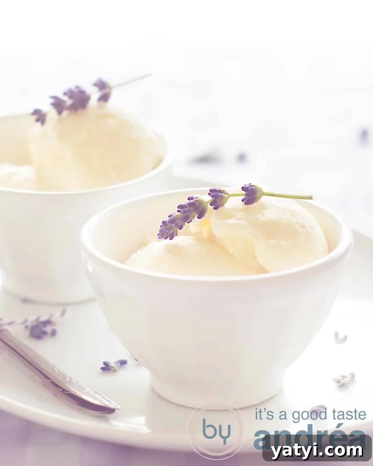 In the middle front a white bowl with a lavender ice cream scoop and some fresh lavender on top. A second bowl just behind. A white background.