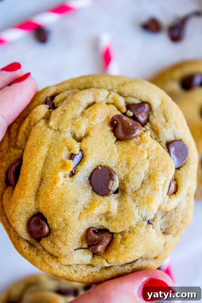 Brown Butter Chocolate Chip Cookies Recipe for Crispy Edges and Chewy Centers 2 hand holding a chocolate chip cookie.