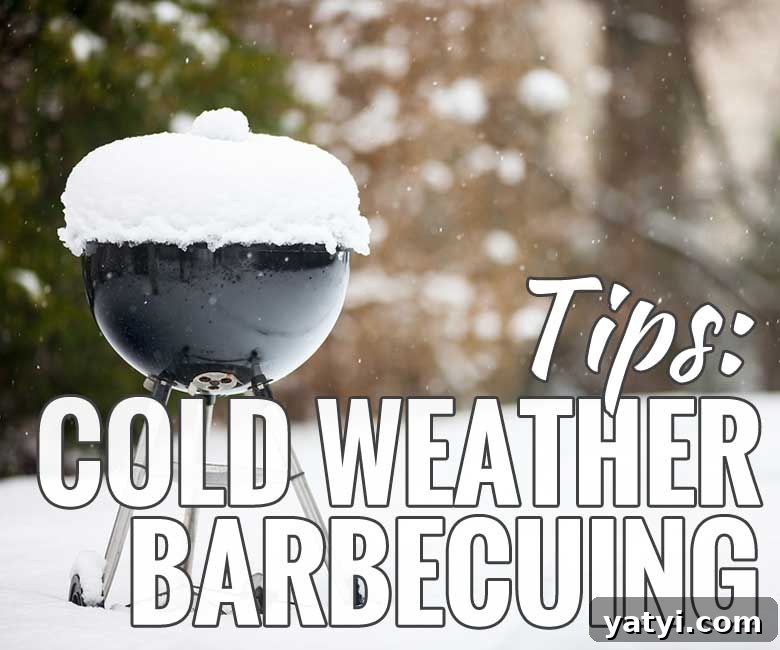 Cold-Weather Grilling: 6 Pro Tips for Winter Barbecues 2 Tips for Cold Weather Barbecuing