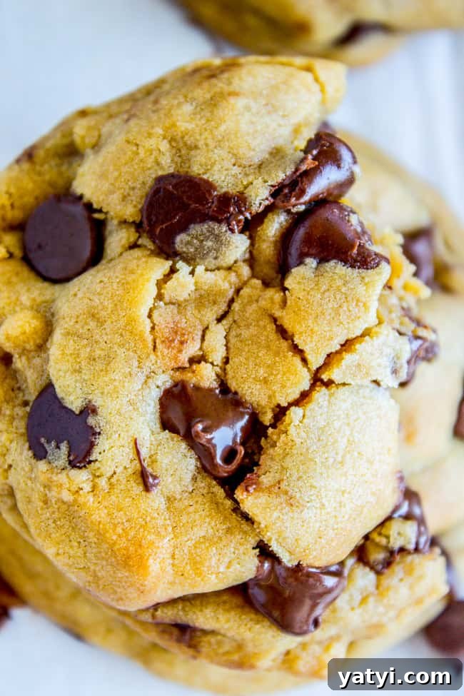 Brown Butter Chocolate Chip Cookies Recipe for Crispy Edges and Chewy Centers 14 a big chocolate chip cookie with melting chocolate chips.