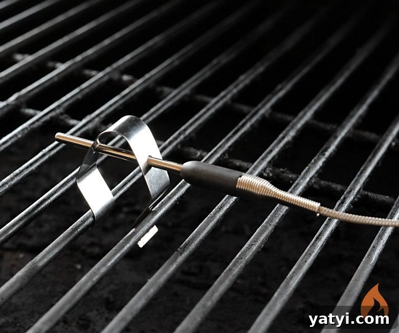 Cold-Weather Grilling: 6 Pro Tips for Winter Barbecues 4 Thermoworks Smoke