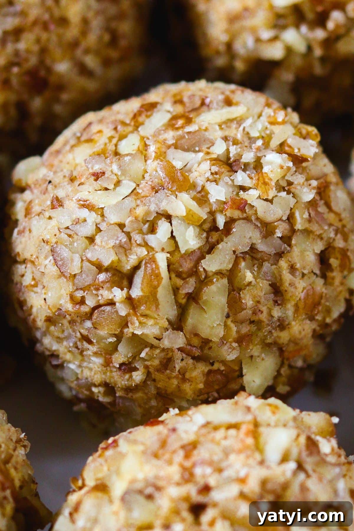 Keto Carrot Cake Protein Bites Recipe for Low-Carb Snacks 12 Carrot cake bites rolled entirely in chopped pecans instead of white chocolate coating