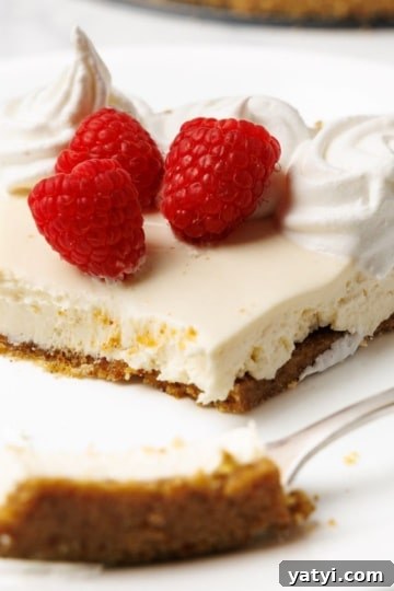 A slice of no-bake cheesecake on a white plate with whipped cream, raspberries, and a fork with a bite taken