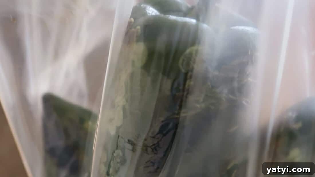 Authentic Chiles Rellenos: Mom’s Homemade Recipe with Video 8 img 1284 7