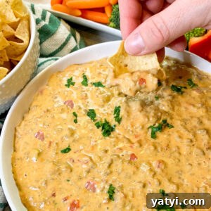 Creamy Rotel Dip Recipe for Parties and Game Day 4 Close up of rotel dip in a white bowl being scooped up with a tortilla chip.