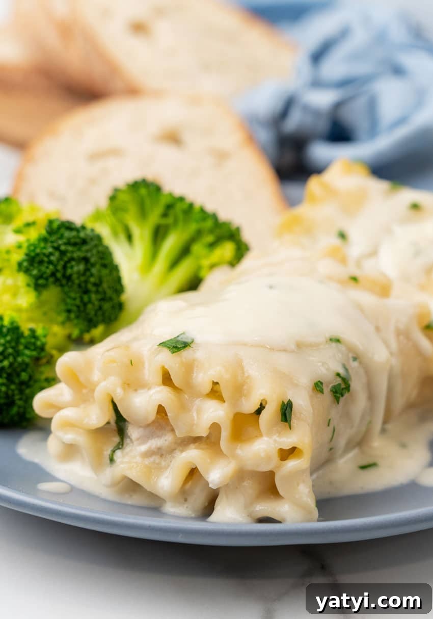 Creamy White Chicken Lasagna Roll-Ups for Family Dinner 2 white chicken lasagna roll ups and steamed broccoli on a small blue plate