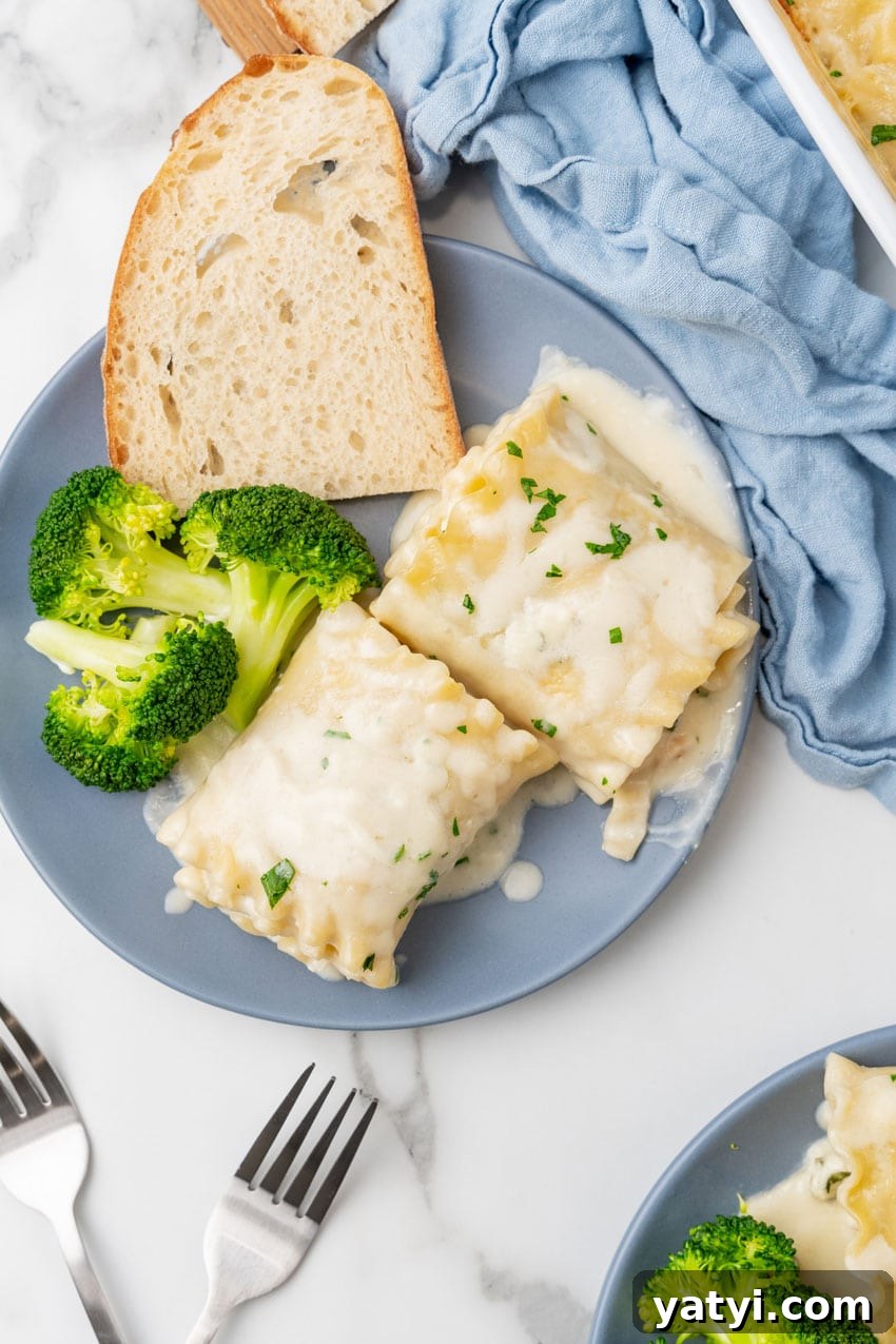 Creamy White Chicken Lasagna Roll-Ups for Family Dinner 12 white chicken lasagna roll ups and steamed broccoli on a small blue plate