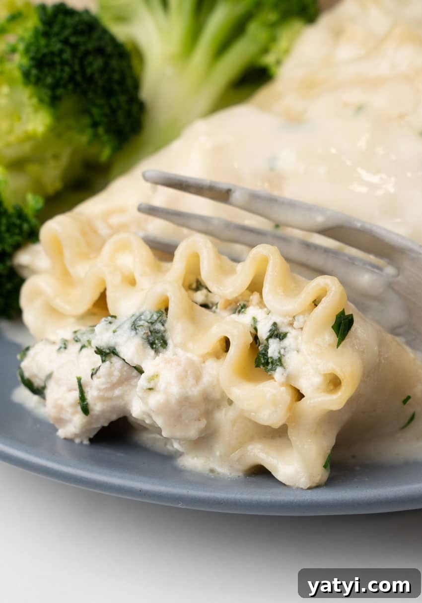 Creamy White Chicken Lasagna Roll-Ups for Family Dinner 13 white chicken lasagna roll ups and steamed broccoli on a small blue plate