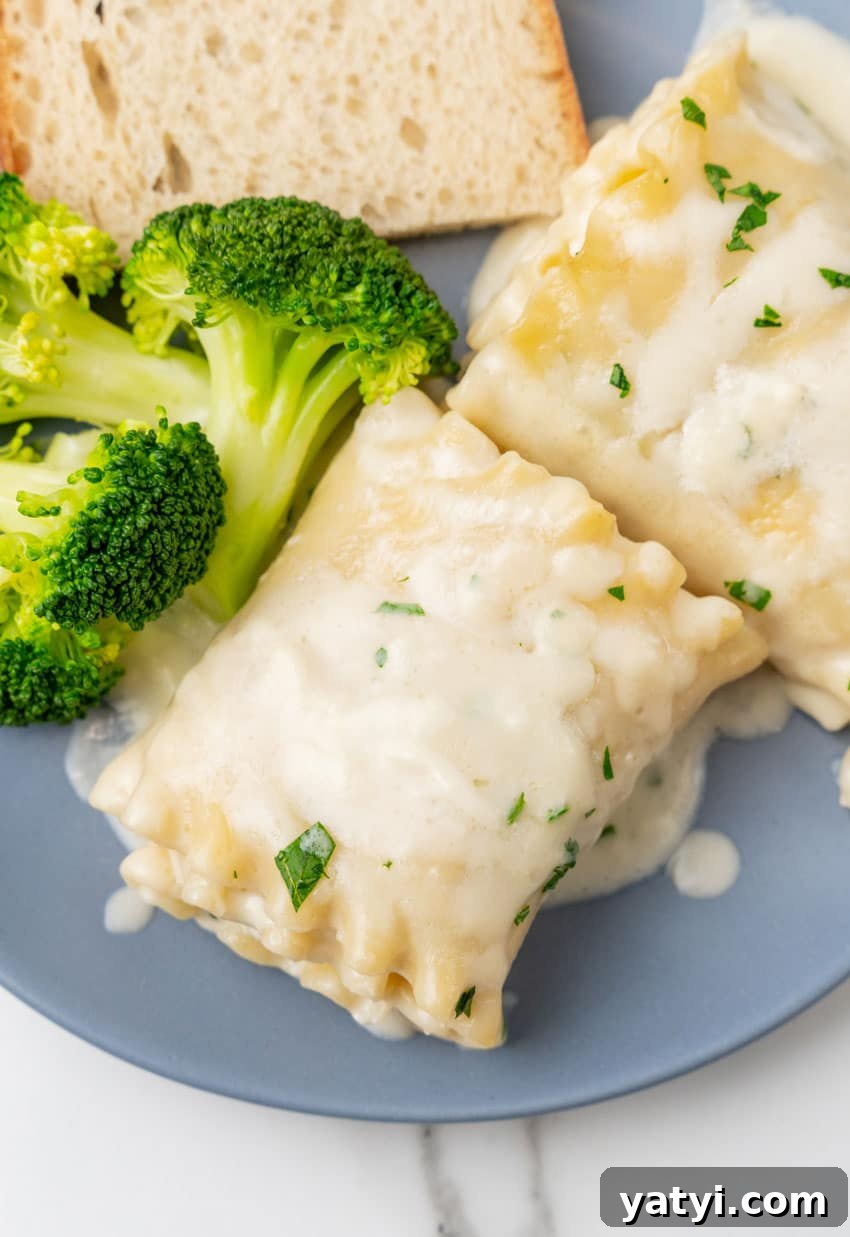 Creamy White Chicken Lasagna Roll-Ups for Family Dinner 3 white chicken lasagna roll ups and steamed broccoli on a small blue plate