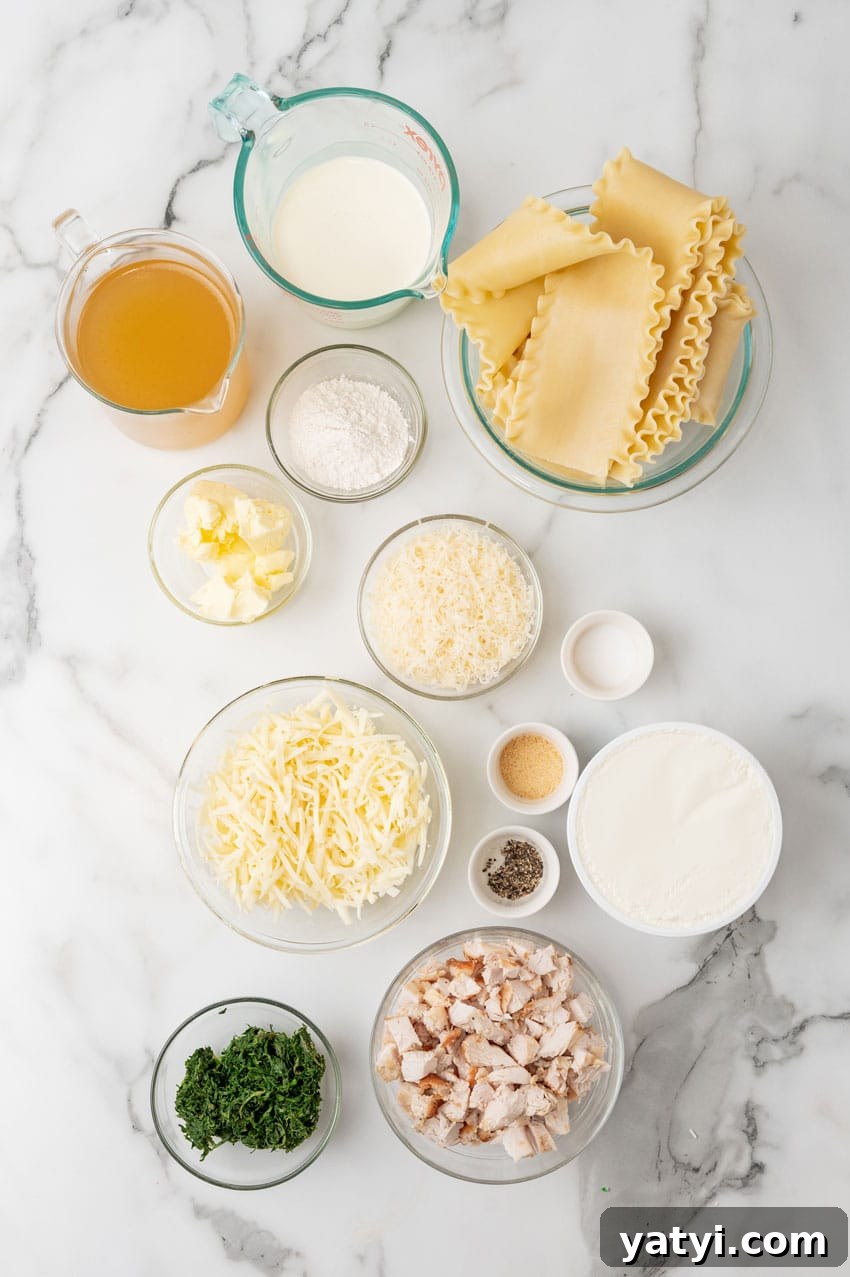 Creamy White Chicken Lasagna Roll-Ups for Family Dinner 4 an overhead image showing the measured ingredients needed to make a batch of white chicken lasagna roll ups