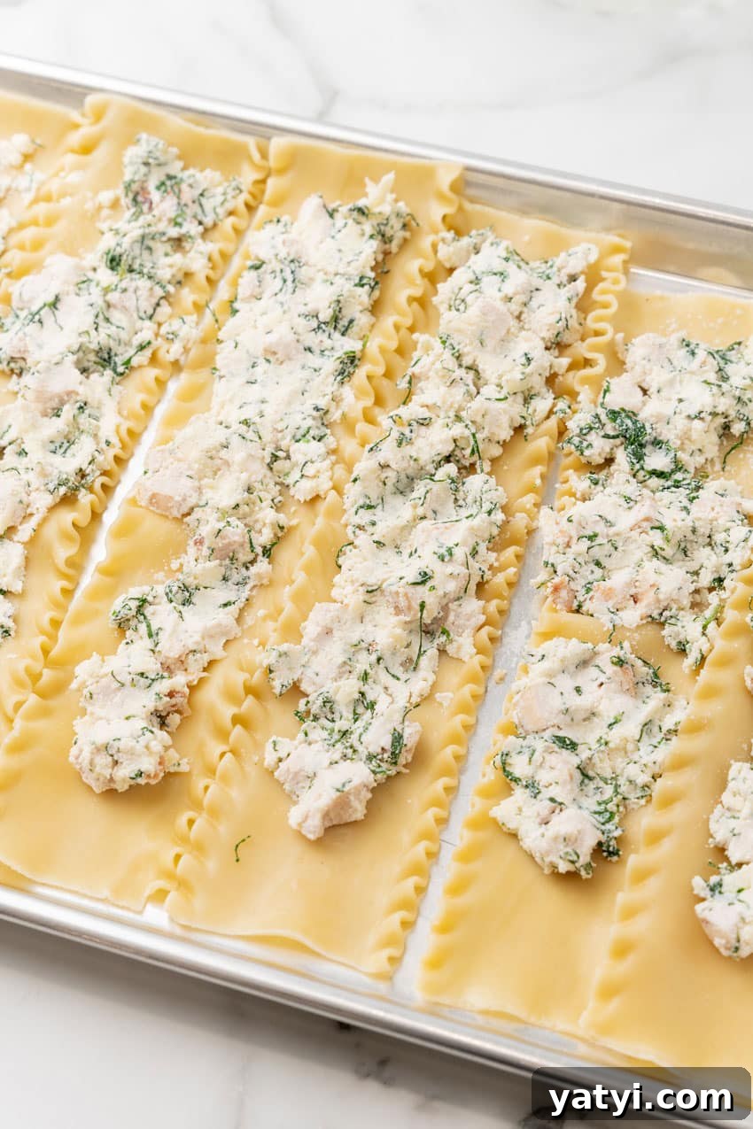 Creamy White Chicken Lasagna Roll-Ups for Family Dinner 7 white chicken ricotta herb filling spread on cooked lasagna noodles