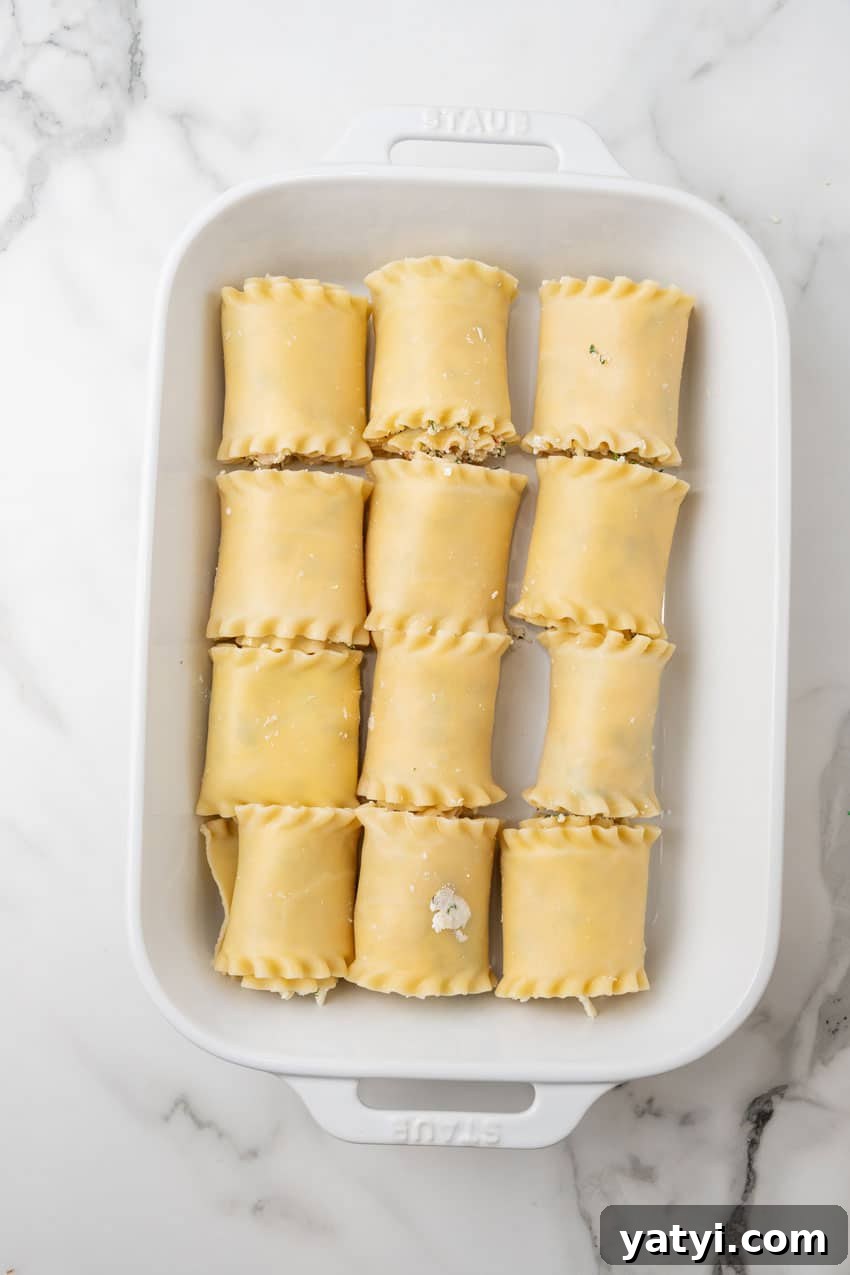 Creamy White Chicken Lasagna Roll-Ups for Family Dinner 8 white chicken lasagna roll ups arranged in rows in a white baking dish