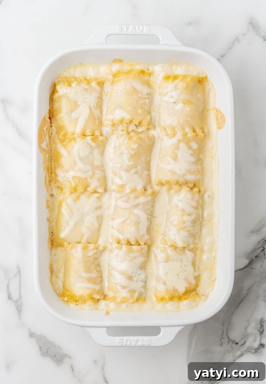 Creamy White Chicken Lasagna Roll-Ups for Family Dinner 9 white chicken lasagna roll ups arranged in rows in a white baking dish