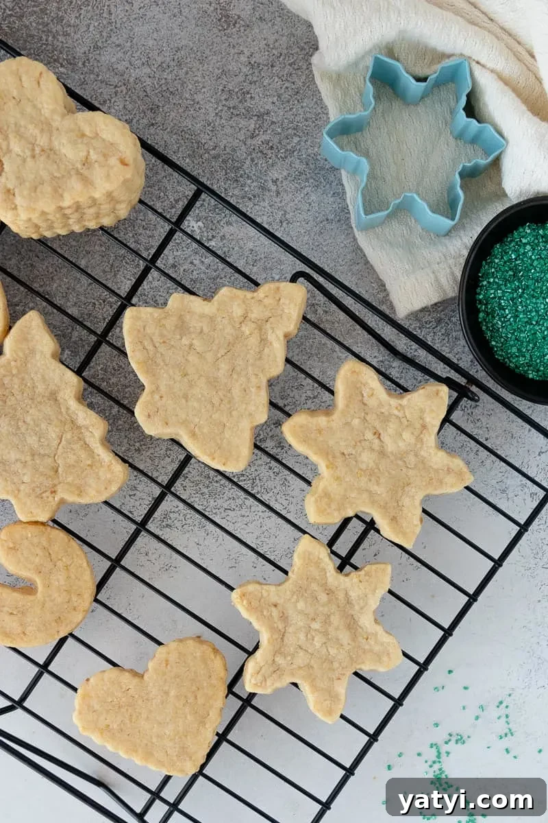 flatlay of the vegan sugar cookies on a cooling rack