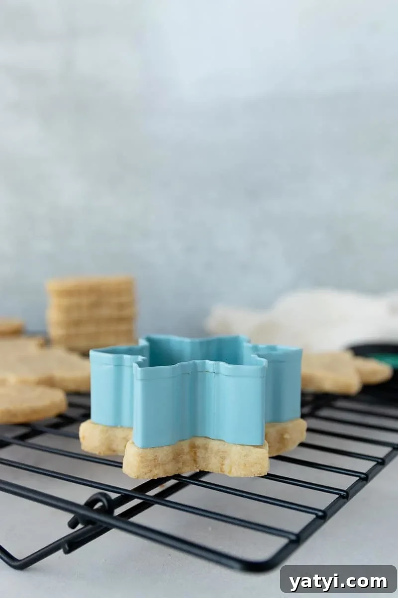 vegan cut out sugar cookie with a cutter on top to show that the baked cookie doesn't spread