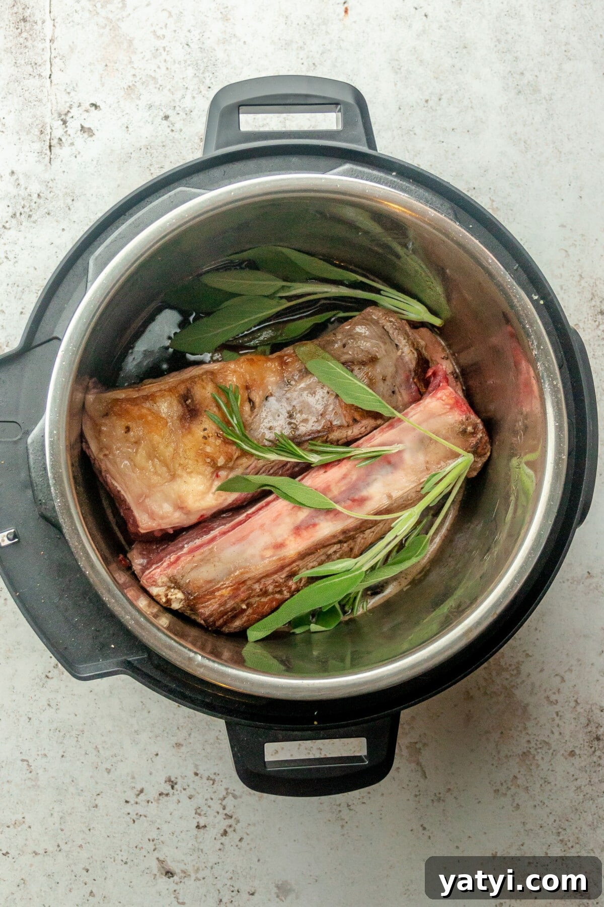 Rustic Instant Pot Short Ribs Recipe — Tender Braised Beef 6 Fresh rosemary and sage sits on top of short ribs in wine in an instant pot on a light gray surface.