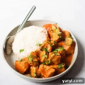a plate of tikka masala and a bed of rice with a spoon resting on the plate