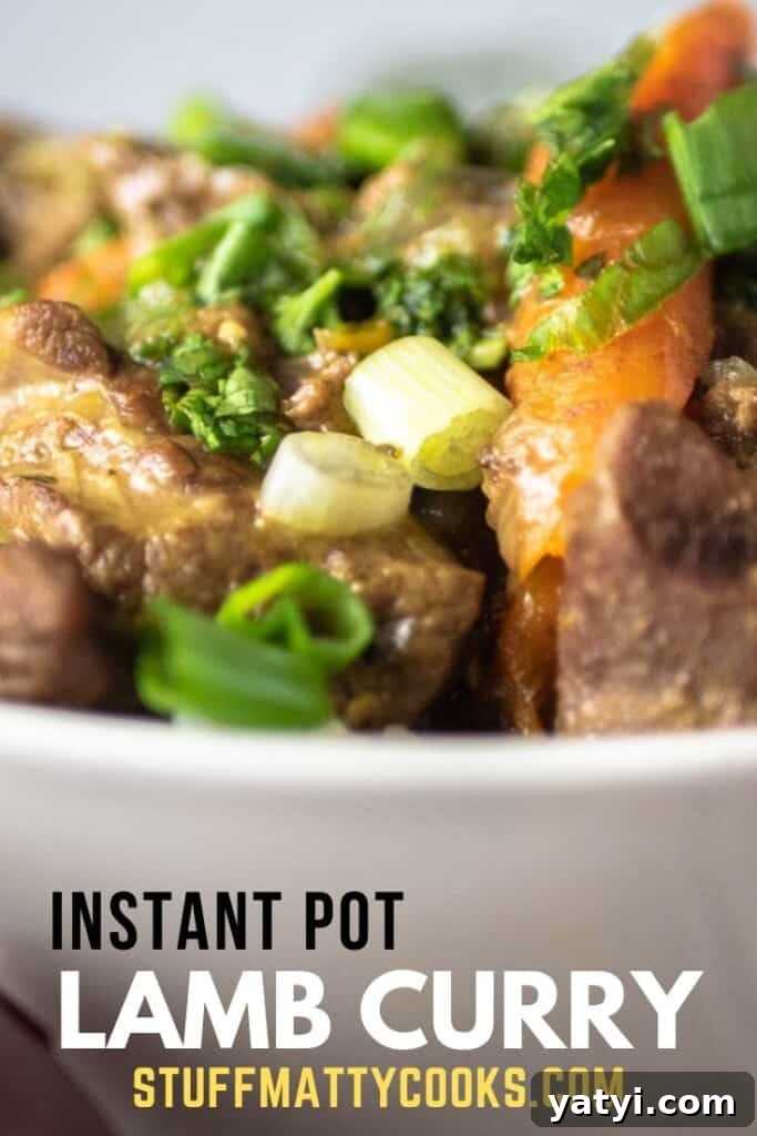 Quick Instant Pot Lamb Curry with Tender, Spiced Sauce 6 Instant Pot Lamb Curry Pinterest Pin