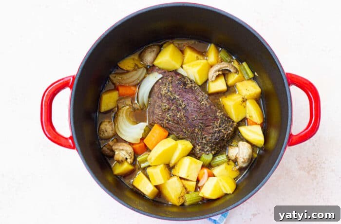 How to Roast a Tender Cross Rib Roast Perfectly 7 Shoulder Center Roast