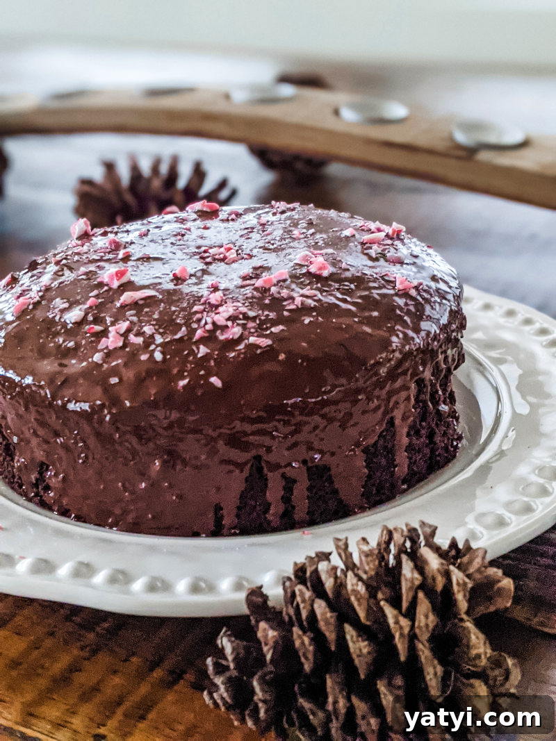 Chocolate Peppermint Beet Cake Recipe for Moist Holiday Dessert 7 Another view of the finished Chocolate Peppermint Beet Cake, surrounded by pinecone decor